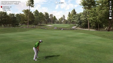 Perfect Golf Image