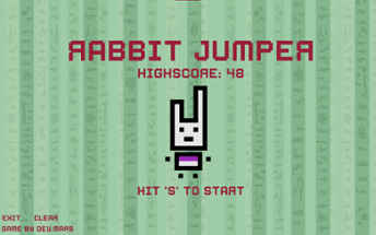 Rabbit Jumper Image