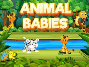 Animal Babies Image