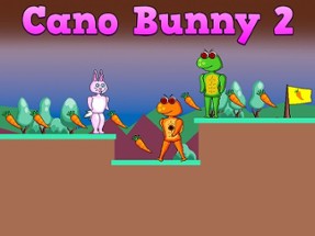 Cano Bunny 2 Image