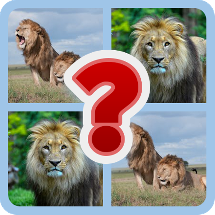 Mysteries in the Wild: Animal Quiz Game Cover