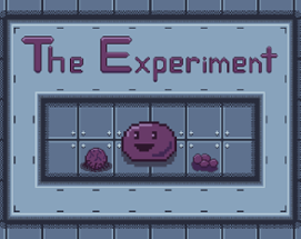 The Experiment Image