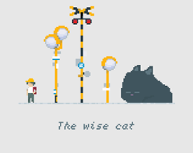 The wise cat Image