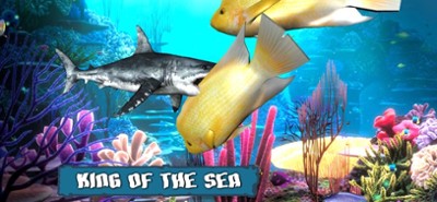 King Of The Fish Tank Image