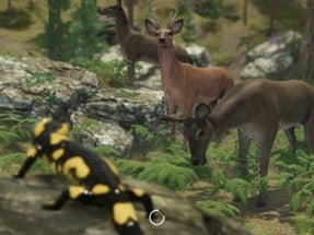 VR Zoo Animals Roller Coaster Image