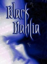 Black Dahlia Image