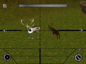 Deer Hunter Wild Hunting Clash Image