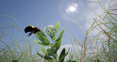 Dreaming The Prairie: updated version Image