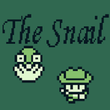 The Snail Image