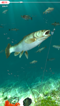 Rapala Fishing: Daily Catch Image