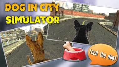 Dog In City Simulator Image