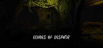 Echoes Of Despair Image