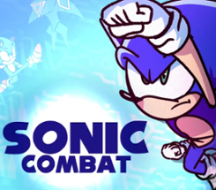 Sonic Combat Image