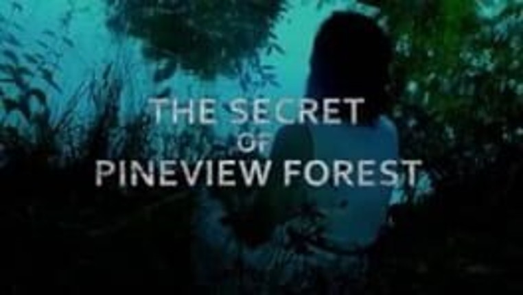 The Secret of Pineview Forest Game Cover