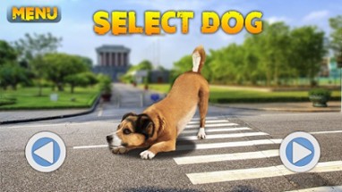 Dog In City Simulator Image