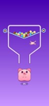 Feed Pig - Games Without Wifi Image