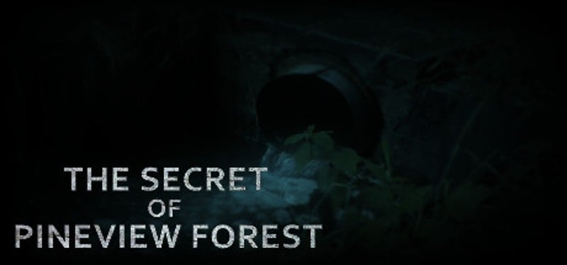 The Secret of Pineview Forest Game Cover