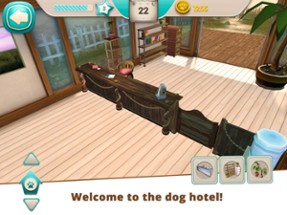 Dog Hotel Premium Image