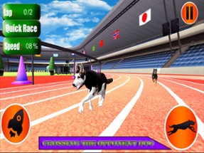 Dog Racer Simulation 2017 Image