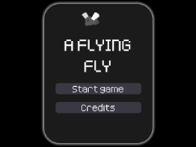 A flying fly Image