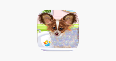 Papillon Puppy Day Care Image