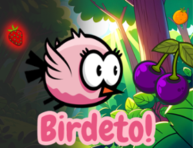 Birdeto Image