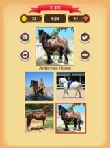 Horse Quiz Image