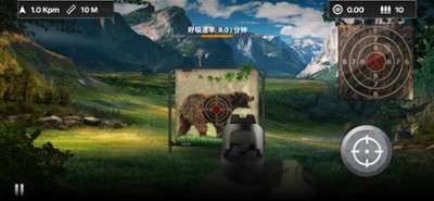 Black Bear Target Shooting Image