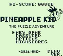 Pineapple Kid - The Puzzle Adventure (DEMO) Image