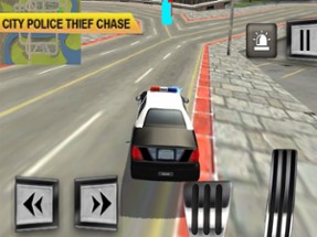 Crime Patrol Team Sim Image