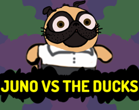 Juno vs the Ducks Image