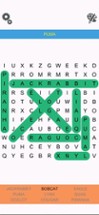 Word Search Epic Image