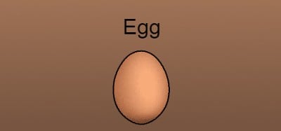 Egg Image