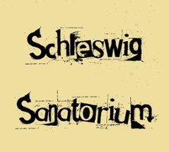 Down and Out in a Schleswig Sanatorium Image
