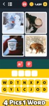 Picture Word Puzzle Image