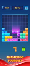 Block 1010: Brick Puzzle Game Image
