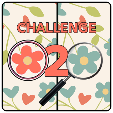 Five Difference challenge 2 Game Cover