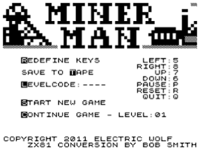 Miner Man Image