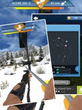 Archery Master 3D Advance Image