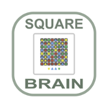 Square Brain Image