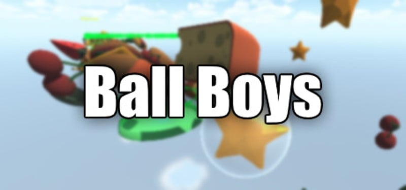 Ball Boys Game Cover