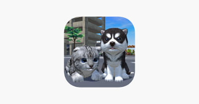 Cute Pocket Cat And Puppy 3D Image