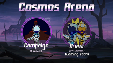 Cosmos Arena Image