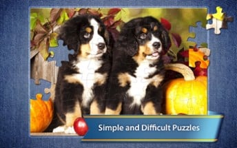 Jigsaw Puzzle Club Image