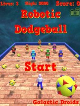 Robotic Dodgeball Pro Image