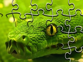 Snakes Jigsaw Puzzle Image