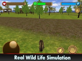 Wolf Life Attack 3D Image