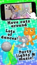 Disco Cats- Augmented Reality Dance Game - Free Image