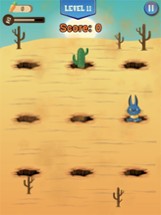 Whack a Bunny – Hole Puzzle 2D Image