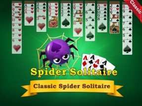 AE Spider Solitaire Image
